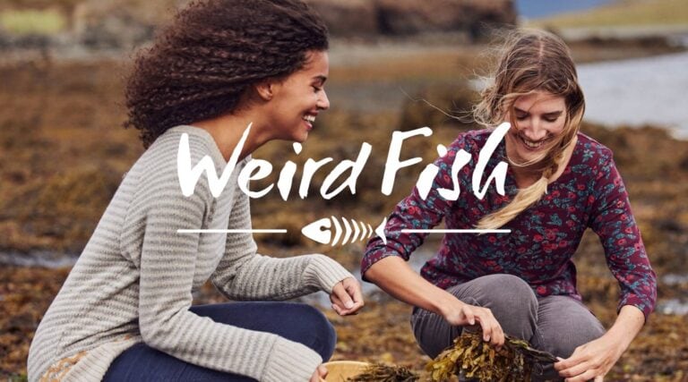 f1bd09ba-619b-415d-9ddf-ca20cd801884