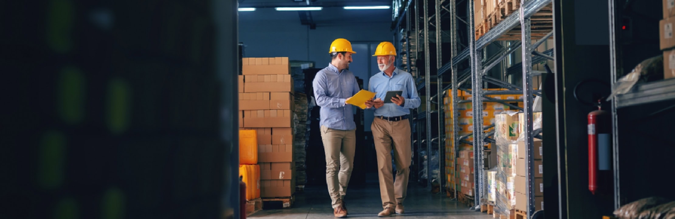 2ec08567-62d7-43c3-955f-d76be4718fa1