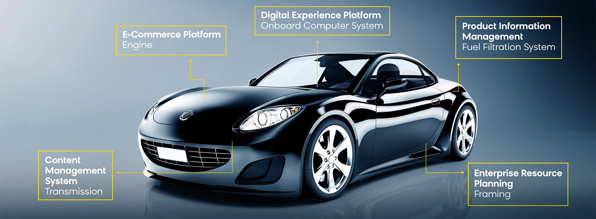 45c570da-8e1f-4b55-ba91-116a0e342bf3