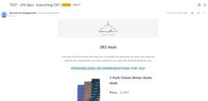 Plug and play personalized reactivation email for disengaged subscribers example