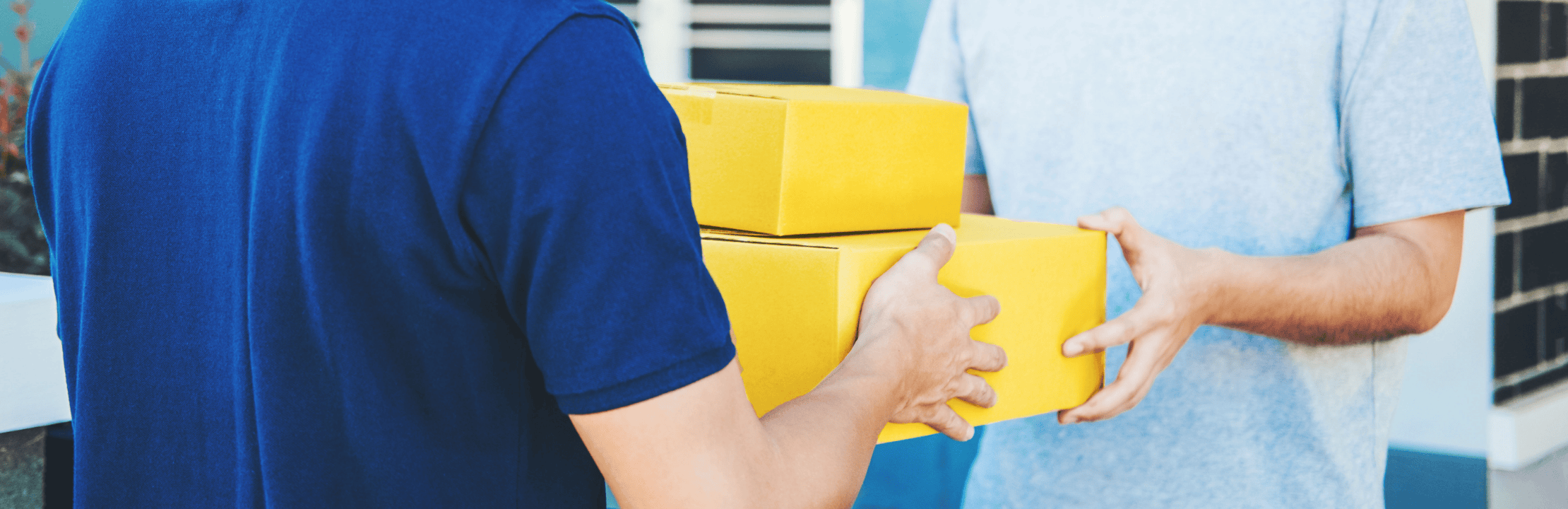 facaa82e-4aed-4875-af7f-08d6699c278c