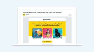 Personalized Product Recommendations