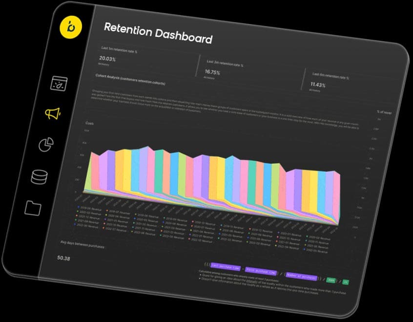 report-dashboard-bfcm-1