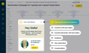 Subscriber Reactivation Campaign