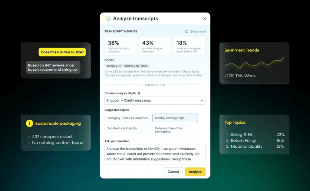 Loomi conversational agent analyzing transcripts for insights, a feature most ecommerce chatbots can't do